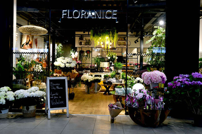 Floranice 8.1 bd